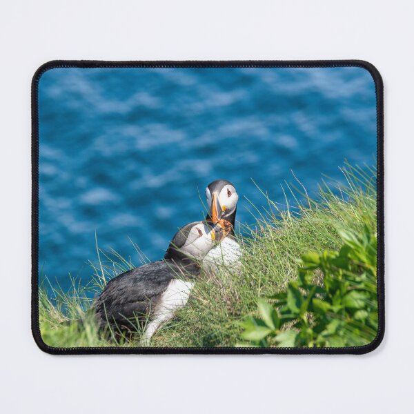 Item preview, Puffin at Cape Bonavista, Newfoundland 6 designed and sold by jrtwynam.