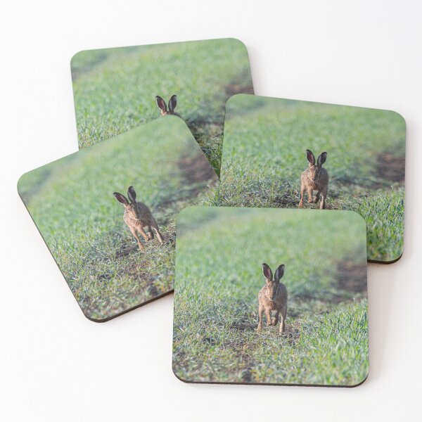 Item preview, Brown Hare designed and sold by MTPhotos1406.