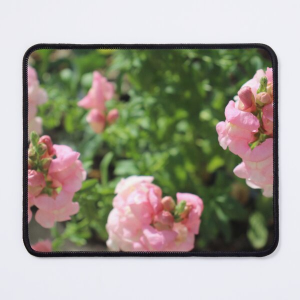 Item preview, Pink Snapdragons designed and sold by PresMatPlays.