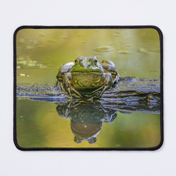 Item preview, Boss Frog designed and sold by pixrit.