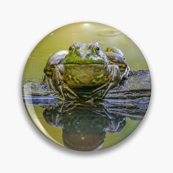 Item preview, Boss Frog designed and sold by pixrit.