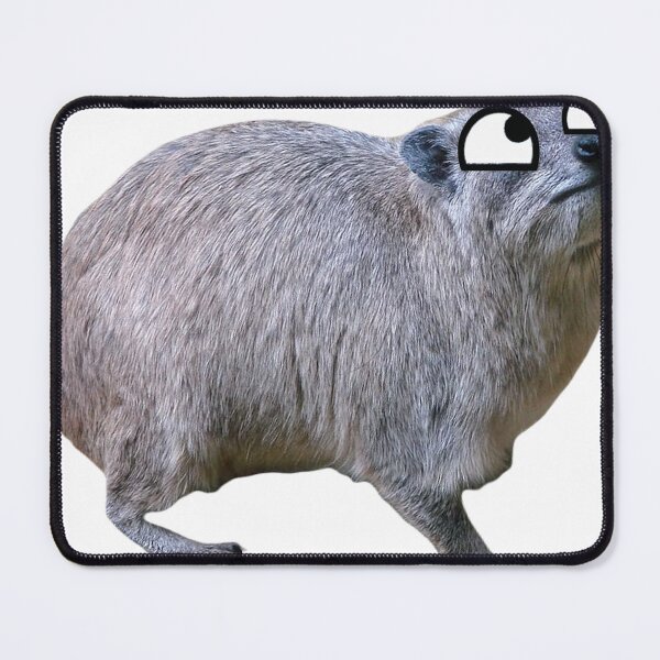 Item preview, Derpy hyrax  designed and sold by SillyLittleSnek.