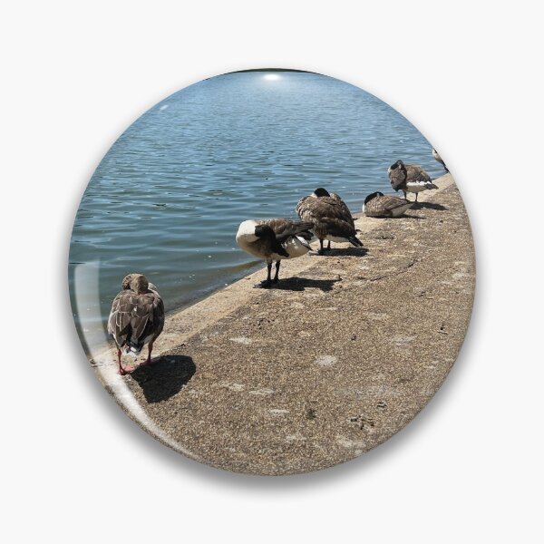 Item preview, Ducks In A Row designed and sold by elstoleno.