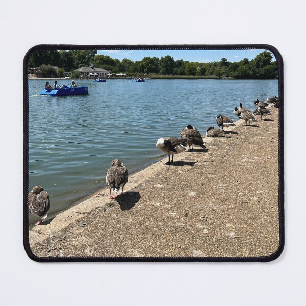 Item preview, Ducks In A Row designed and sold by elstoleno.