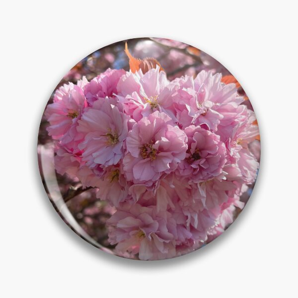 Item preview, Cherry Blossoms In The Sun designed and sold by elstoleno.