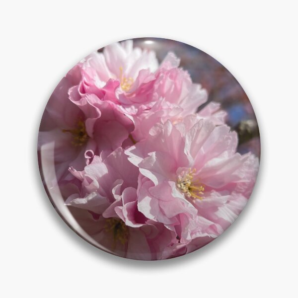Item preview, Cherry Blossoms designed and sold by elstoleno.
