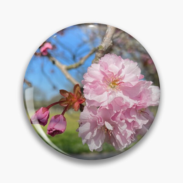 Item preview, Hanging Cherry Blossoms designed and sold by elstoleno.