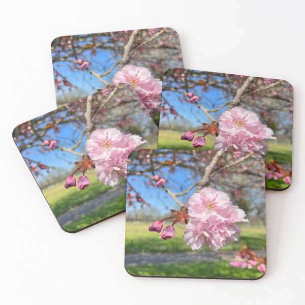 Item preview, Hanging Cherry Blossoms designed and sold by elstoleno.