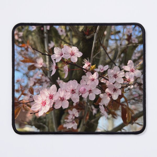 Item preview, Cherry Plum Blossoms designed and sold by elstoleno.