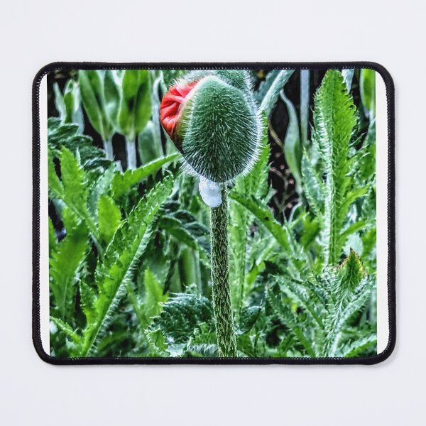 Item preview, Flower stem designed and sold by Cheryl Altschuler.