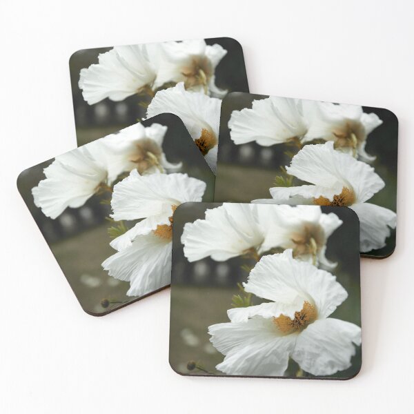 Item preview, Wild Flowers , CA 2024  designed and sold by Krystallynne Gonzalez.