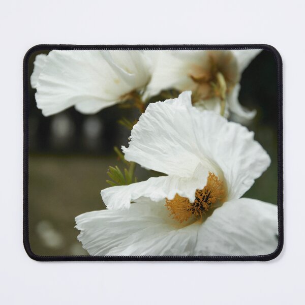 Item preview, Wild Flowers , CA 2024 designed and sold by Krystallynne Gonzalez.