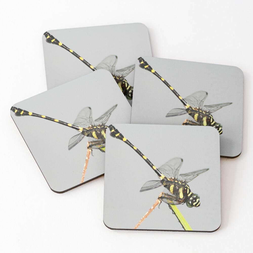 Item preview, Coasters (Set of 4) designed and sold by RanranBugs.