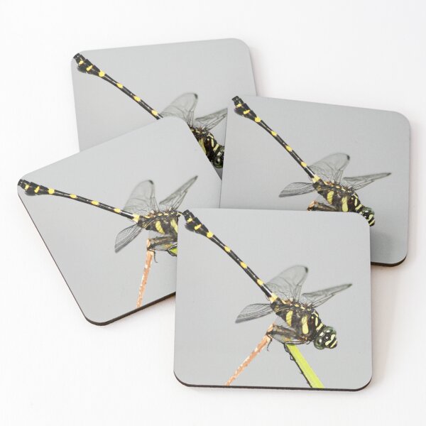 Item preview, Golden Ringed Dragonfly designed and sold by RanranBugs.