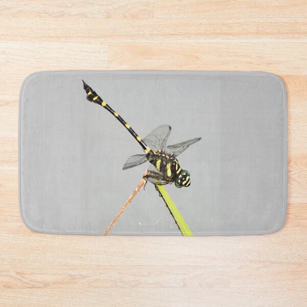 Item preview, Golden Ringed Dragonfly designed and sold by RanranBugs.
