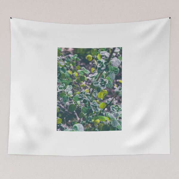 Item preview, Long Stemmed Oregano designed and sold by abramichellemorris.