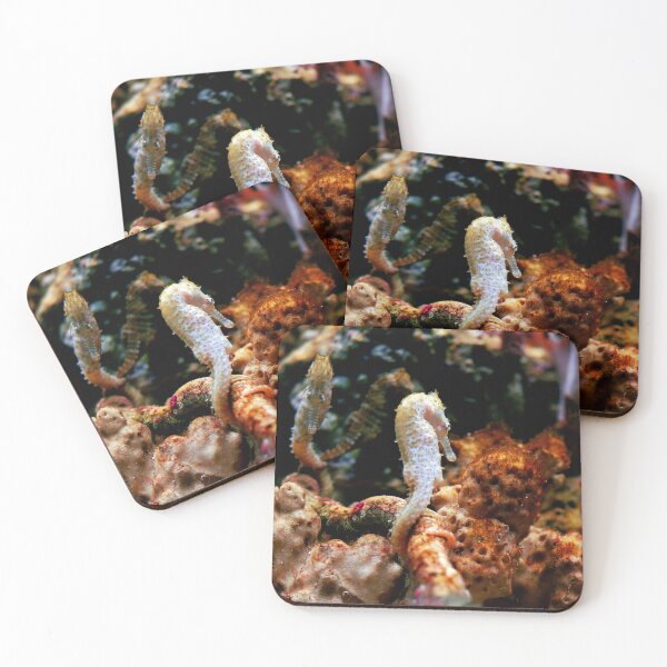 Item preview, Seahorse designed and sold by GuidoThomasi.