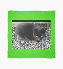 Feline Delinquent Scarf