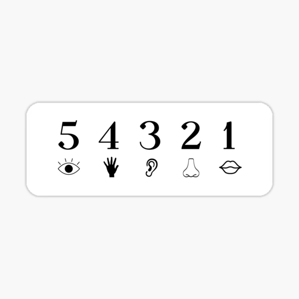 54321 Grounding Technique | Calm Anxiety | Mindfulness Practice