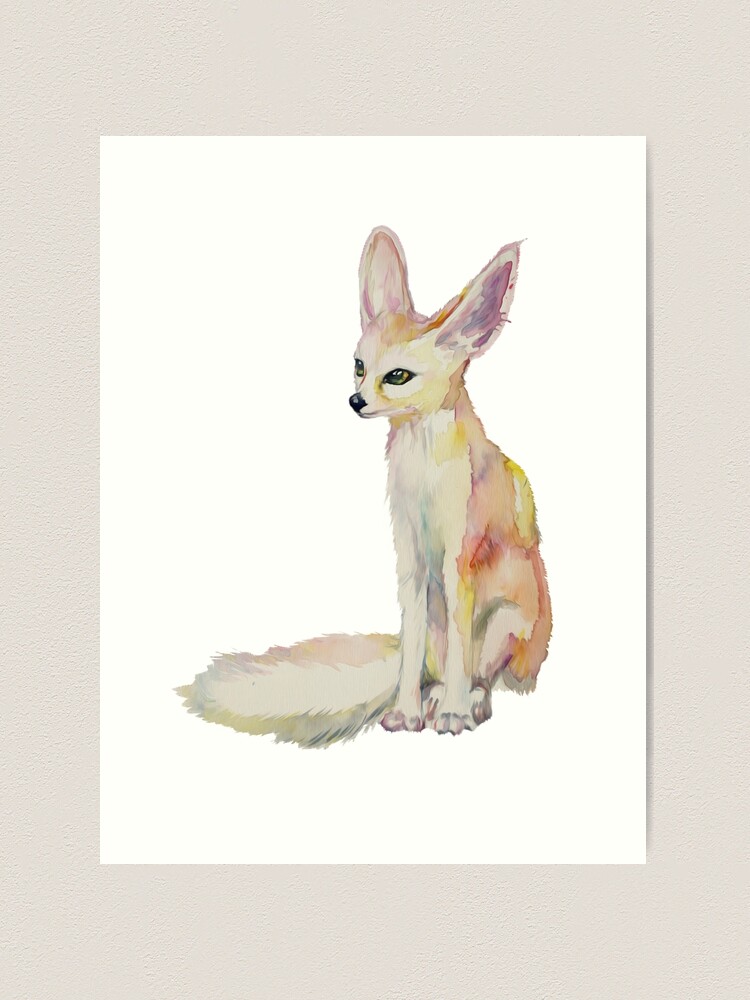 Renard Du Fennec Illustration Animale Colorée Impressions D