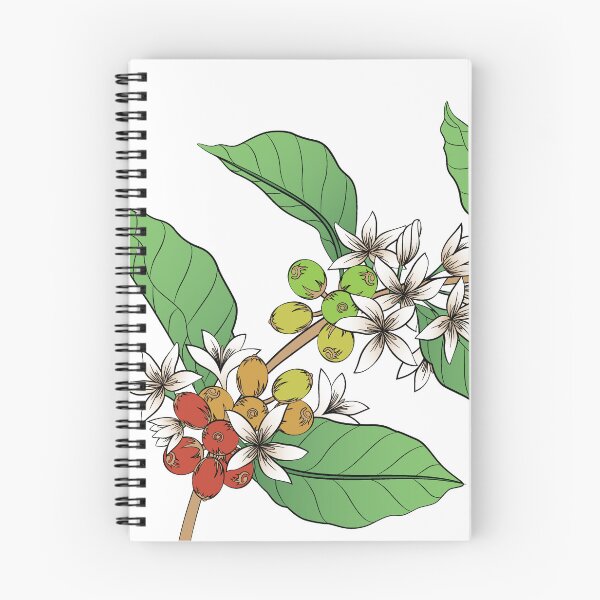 Item preview, The coffee tree from flower to fruit designed and sold by MetaforaMundo.