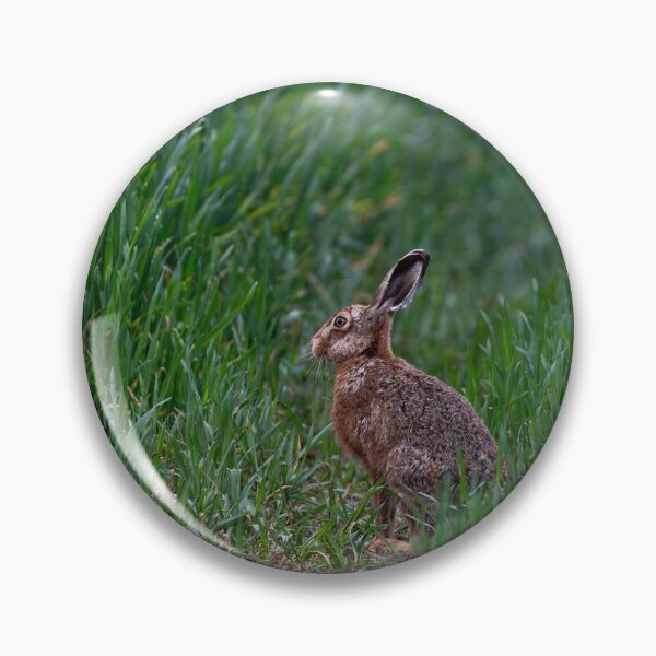 Item preview, Brown Hare designed and sold by MTPhotos1406.