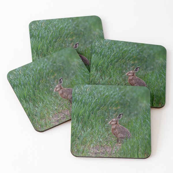 Item preview, Brown Hare designed and sold by MTPhotos1406.