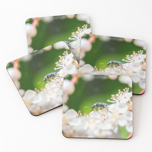 Item preview, Bug designed and sold by MTPhotos1406.