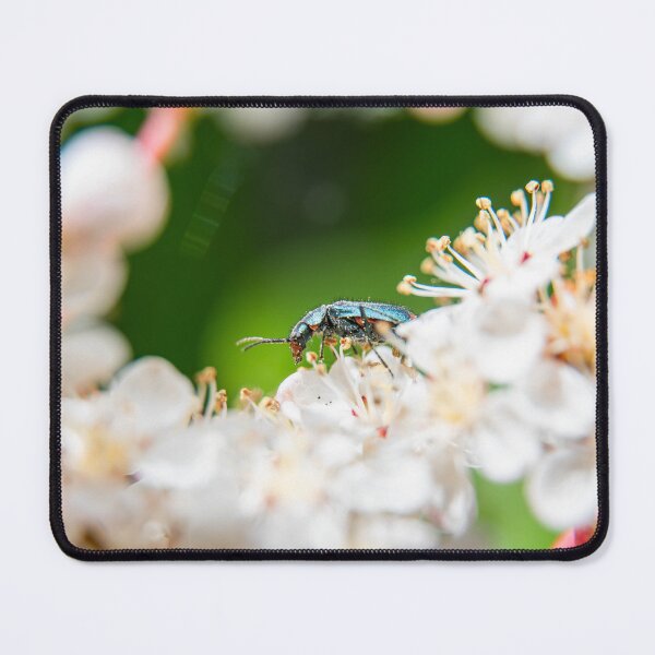 Item preview, Bug designed and sold by MTPhotos1406.
