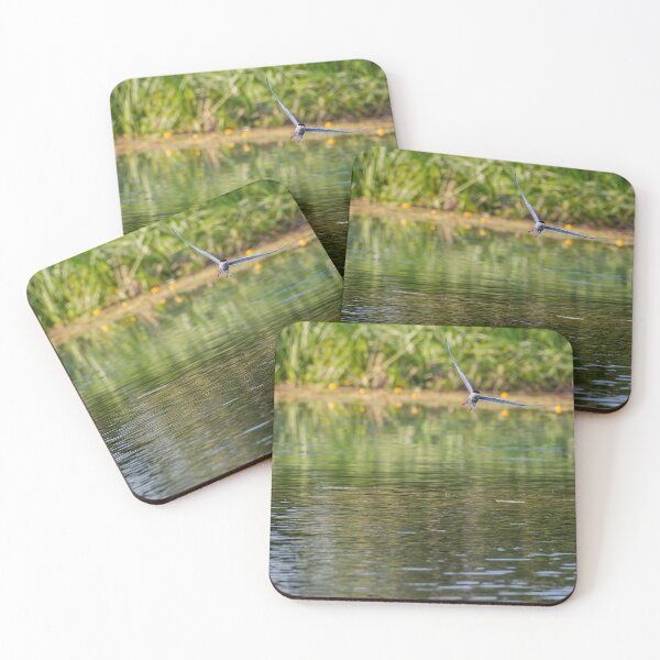Item preview, Common Tern designed and sold by MTPhotos1406.