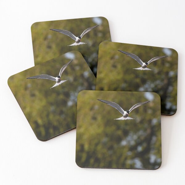 Item preview, Common Tern designed and sold by MTPhotos1406.