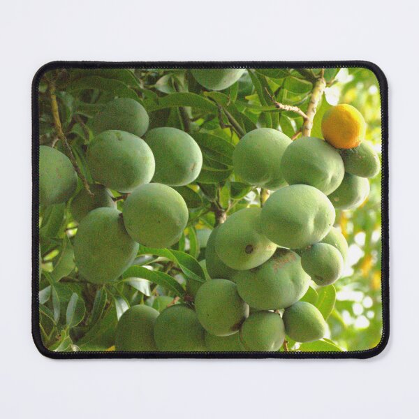 Item preview, Mango Fruits designed and sold by MercerImages.