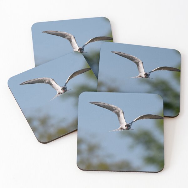 Item preview, Common Tern designed and sold by MTPhotos1406.