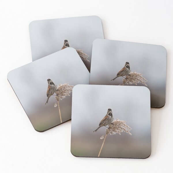 Item preview, Reed Bunting designed and sold by MTPhotos1406.