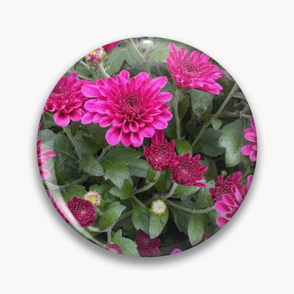 Item preview, Pinky designed and sold by SazB33.