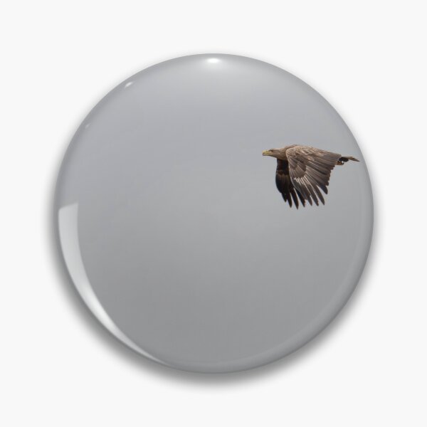 Artikelvorschau, Seeadler entworfen und verkauft von MTPhotos1406.