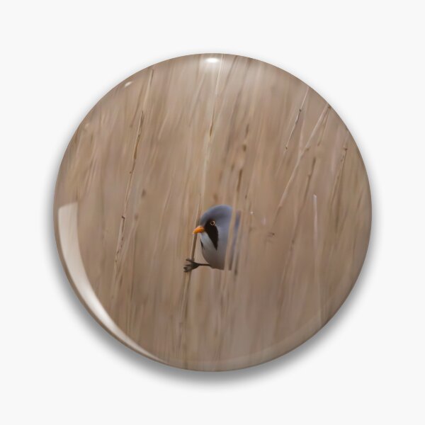 Item preview, Bearded Tit designed and sold by MTPhotos1406.