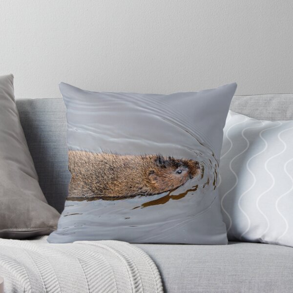 Item preview, Campañol de agua designed and sold by MTPhotos1406.
