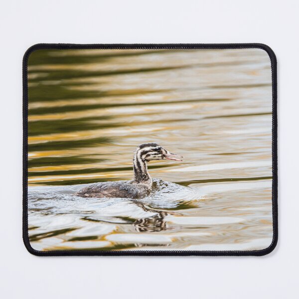 Item preview, Great Crested Grebe designed and sold by MTPhotos1406.