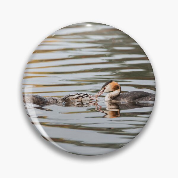 Item preview, Great Crested Grebe designed and sold by MTPhotos1406.