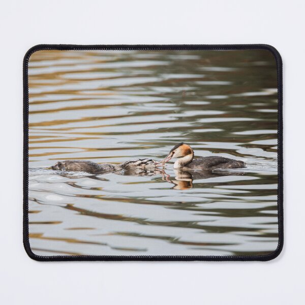 Item preview, Great Crested Grebe designed and sold by MTPhotos1406.