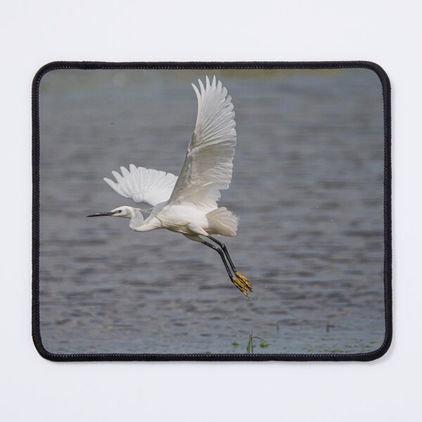 Item preview, Little Egret designed and sold by MTPhotos1406.