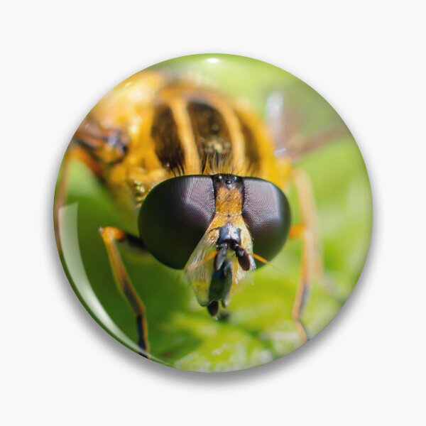 Item preview, Hover Fly designed and sold by MTPhotos1406.