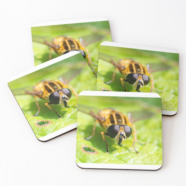 Item preview, Hover Fly designed and sold by MTPhotos1406.