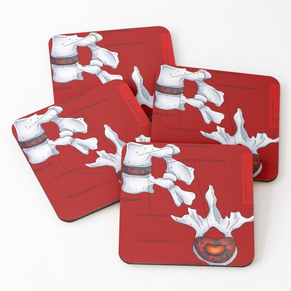 Item preview, Intevebral Disc (Red) Anatomy designed and sold by TueTran.