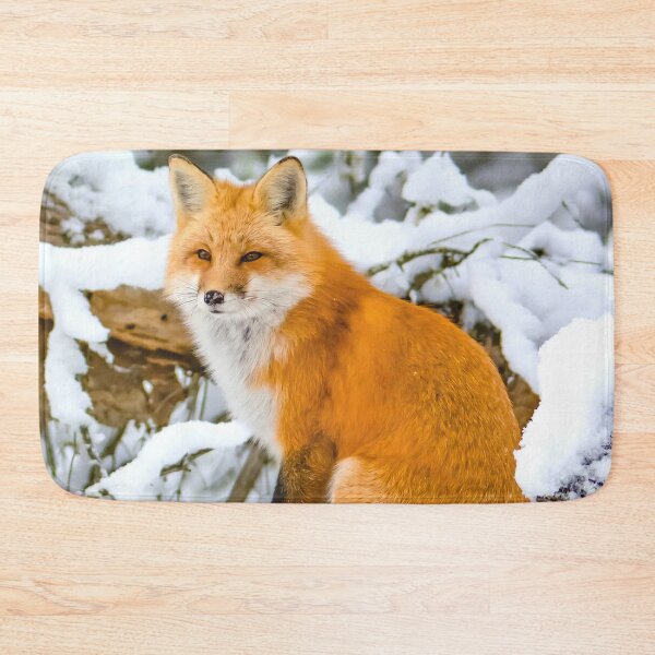 Item preview, Red Fox chilling in snow designed and sold by MorningFive.
