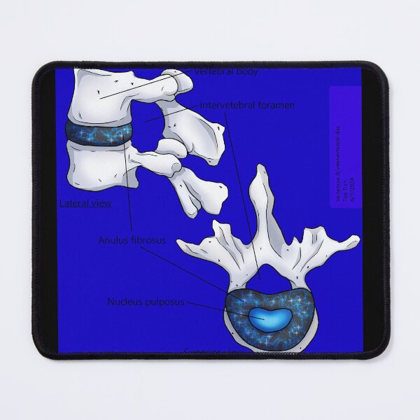 Item preview, Intevebral Disc (Blue + Sparkle) Anatomy designed and sold by TueTran.