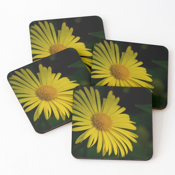 Item preview, Bright yellow. Leopard's bane designed and sold by Jouko Lehto Photography.