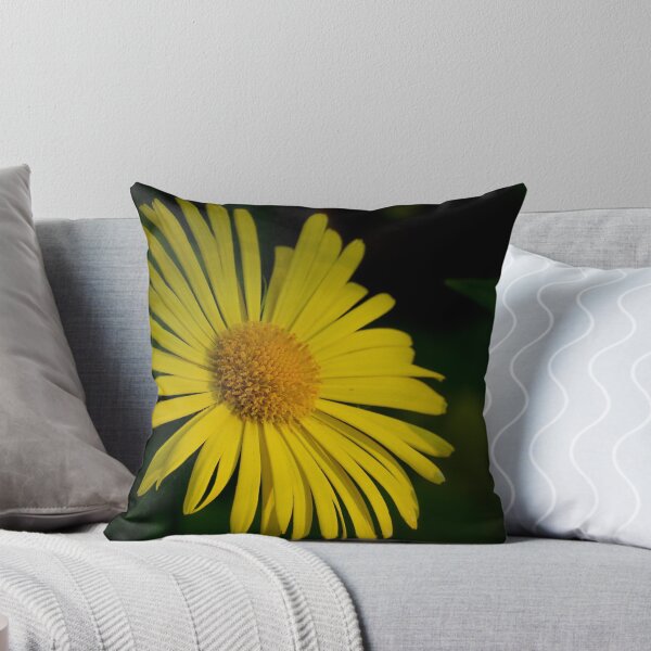 Item preview, Bright yellow. Leopard's bane designed and sold by Jouko Lehto Photography.