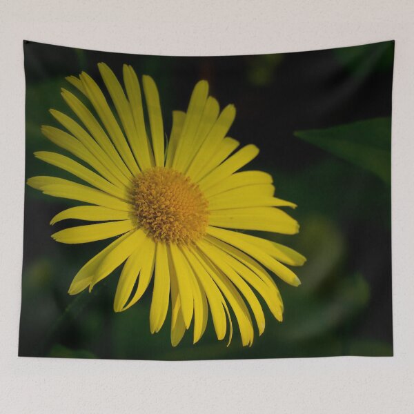 Item preview, Bright yellow. Leopard's bane designed and sold by Jouko Lehto Photography.